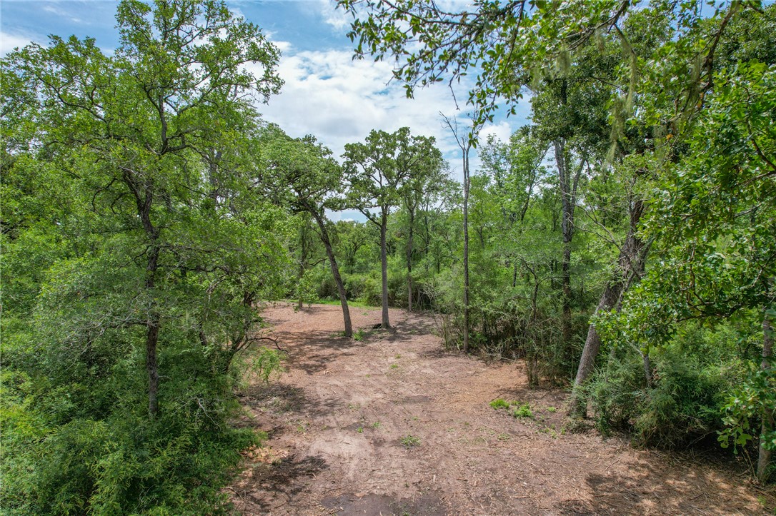 3 Jones Road College Station, TX 77845 - Photo 20 of 24 a view of a forest with trees in the background