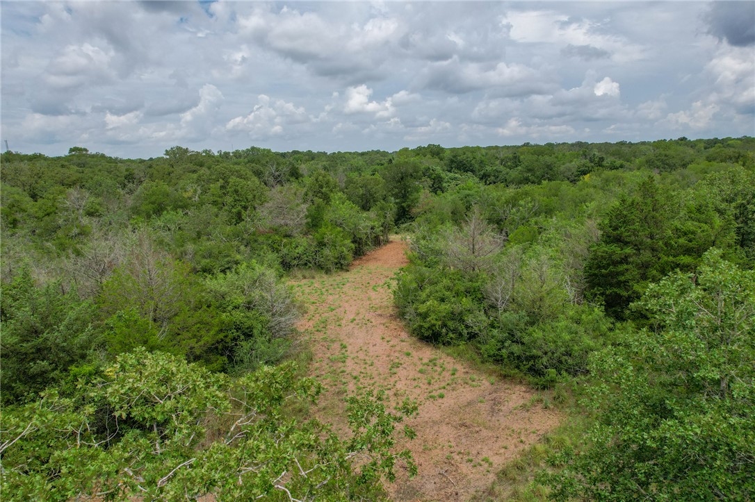 3 Jones Road College Station, TX 77845 - Photo 2 of 24 a view of a yard with a house in the background