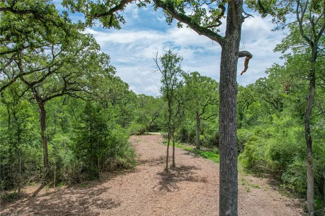 a view of a pathway with a yard