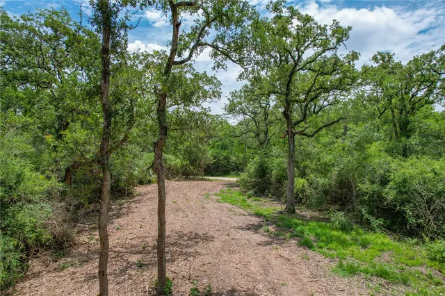 a view of a road with trees in the background
