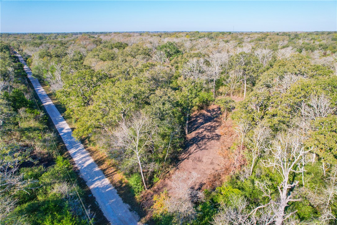 3 Jones Road College Station, TX 77845 - Photo 3 of 24 a view of a yard
