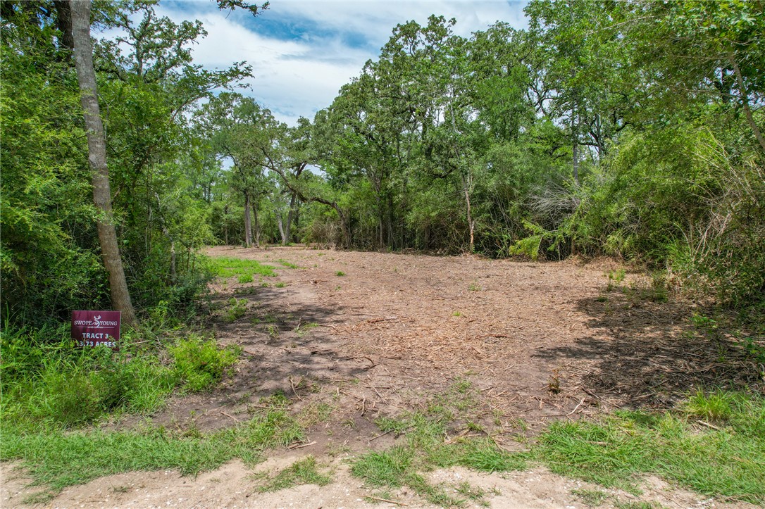 3 Jones Road College Station, TX 77845 - Photo 4 of 24 a view of an outdoor space with yard