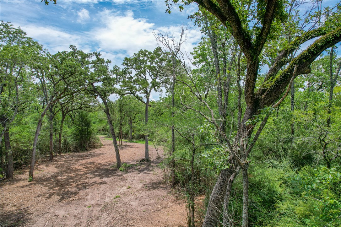 3 Jones Road College Station, TX 77845 - Photo 6 of 24 a view of a forest