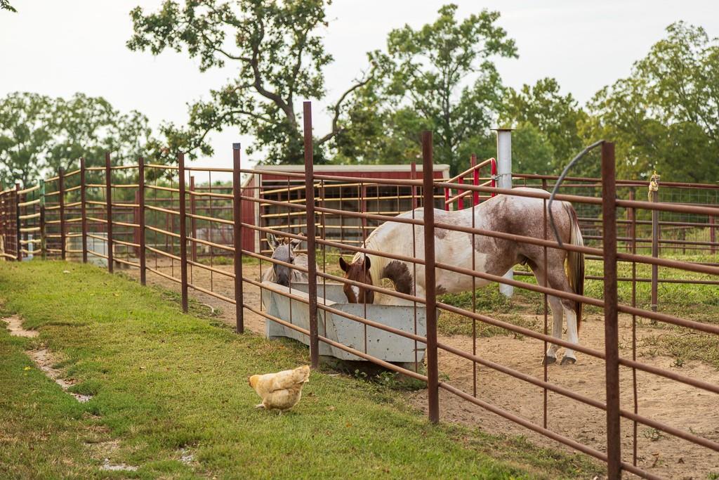 10374 South 1575th Road Nevada, MO 64772 - Photo 42 of 42