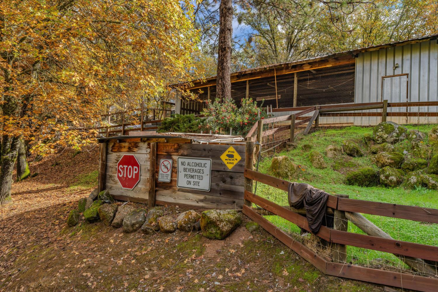 23070 Lawrence Road Fiddletown, CA 95629 - Photo 33 of 61