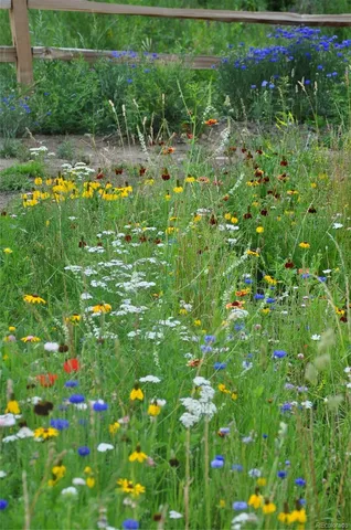 $849,900 | 7383 Heavenly View Parkway, Salida, CO 81201