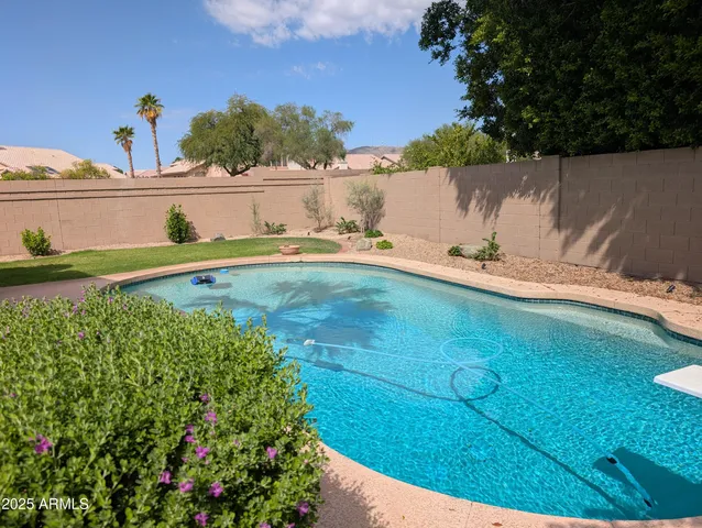 a view of a backyard