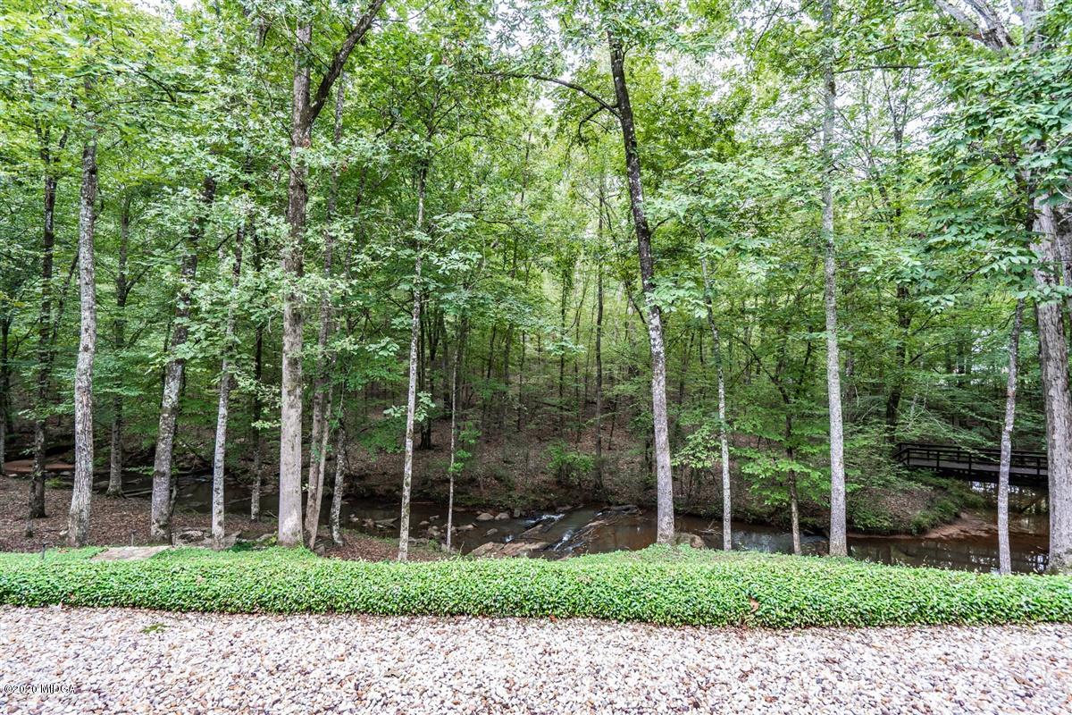 1934 Reedy Creek Road Forsyth, GA 31029 - Photo 25 of 51 a backyard of a house with lots of potted plants and large trees