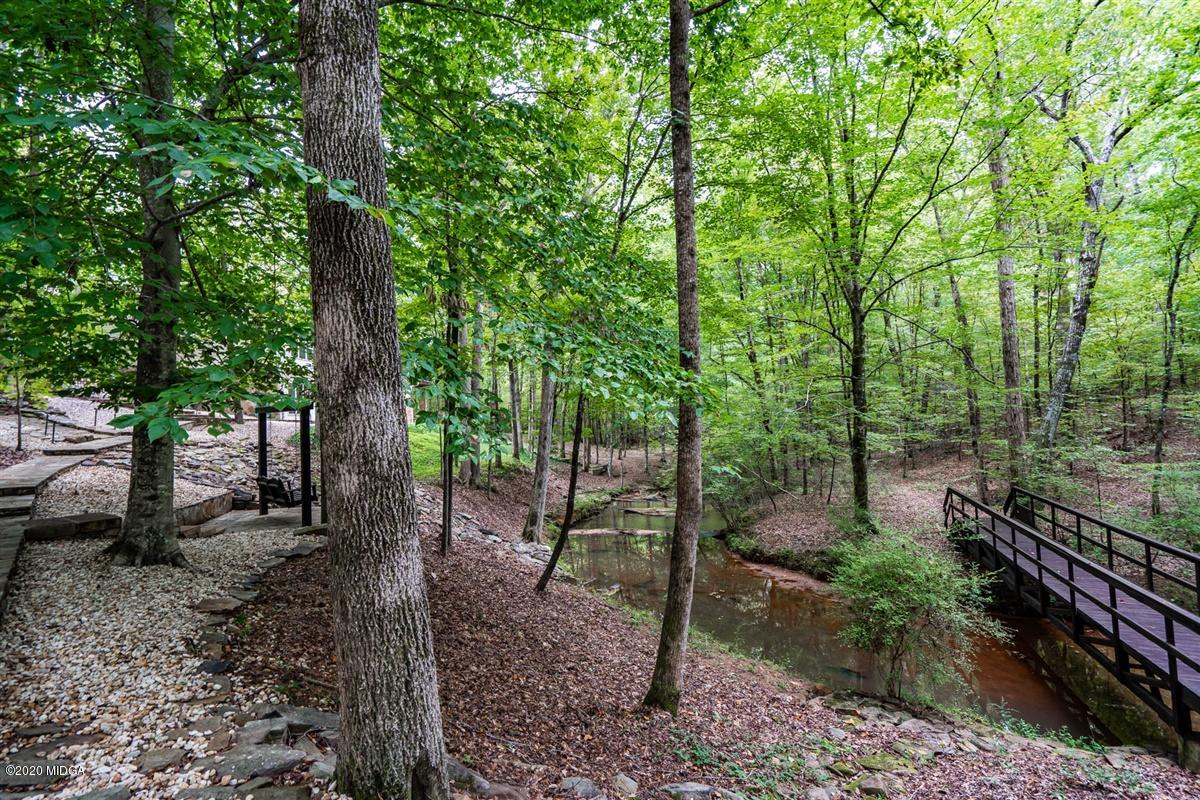 1934 Reedy Creek Road Forsyth, GA 31029 - Photo 9 of 51 a backyard of a house with lots of trees