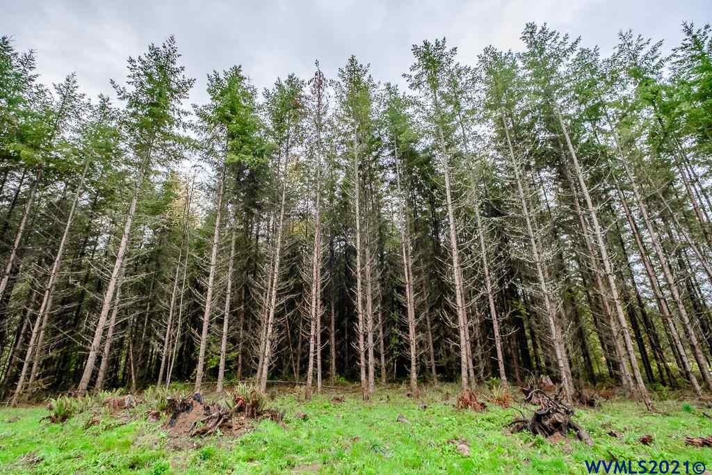 Meridian (ta 392239) Road Lebanon, OR 97355 - Photo 6 of 32