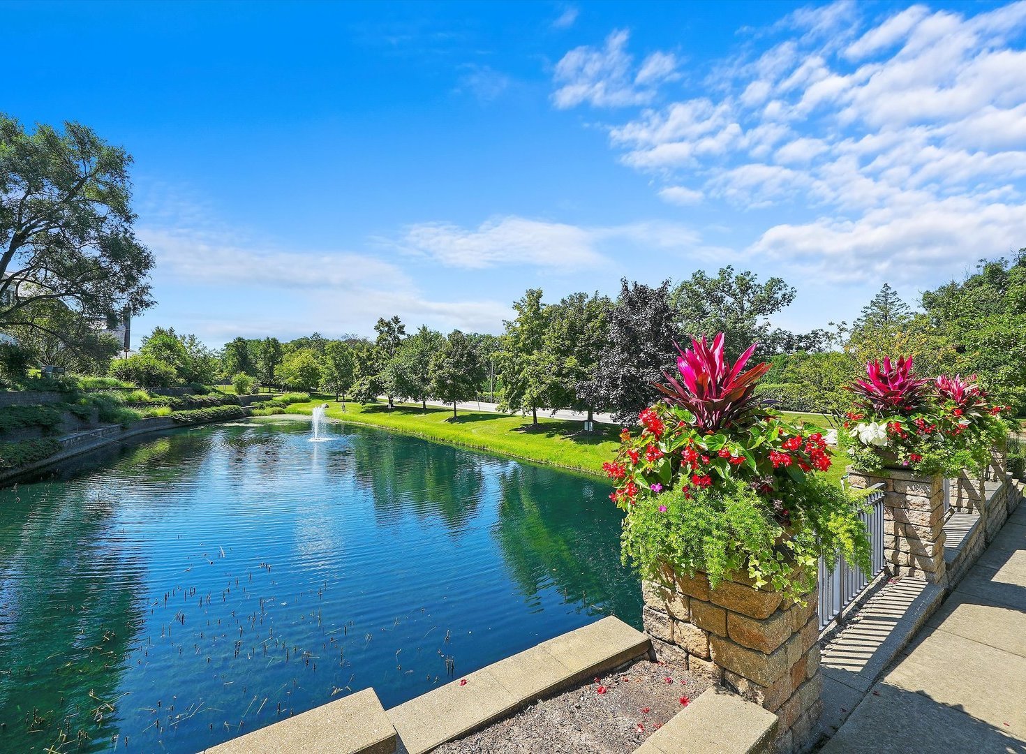 8886 Johnston Road Burr Ridge, IL 60527 - Photo 56 of 71 a view of a lake with a garden