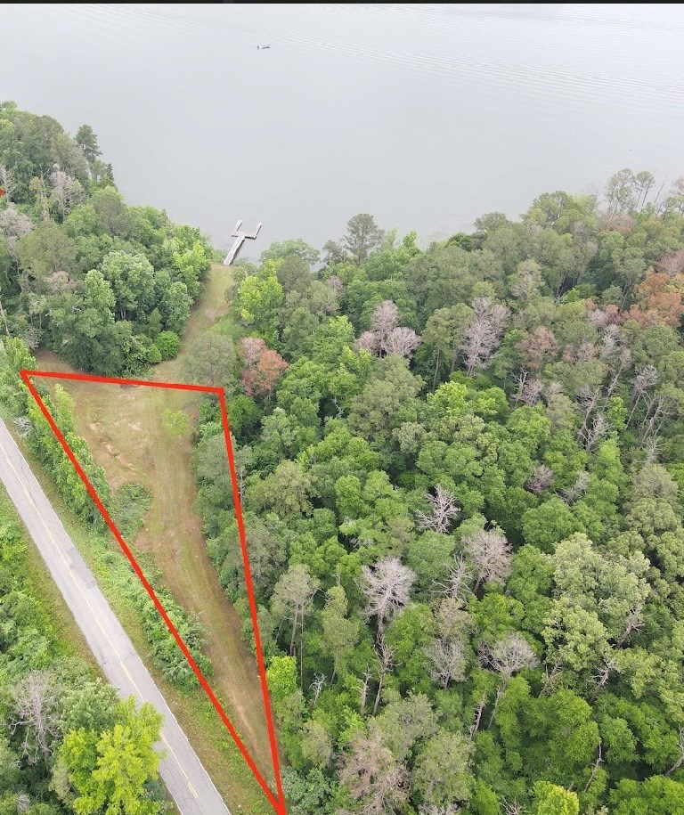 97 County Road 97 Abbeville, AL 36310 - Photo 2 of 15