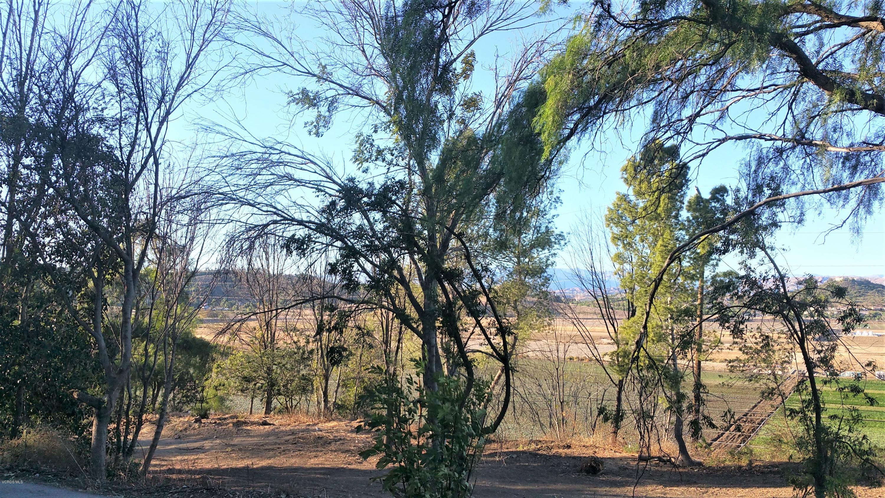 4934 Read Road Thousand Oaks, CA 93021 - Photo 11 of 14 pepper trees