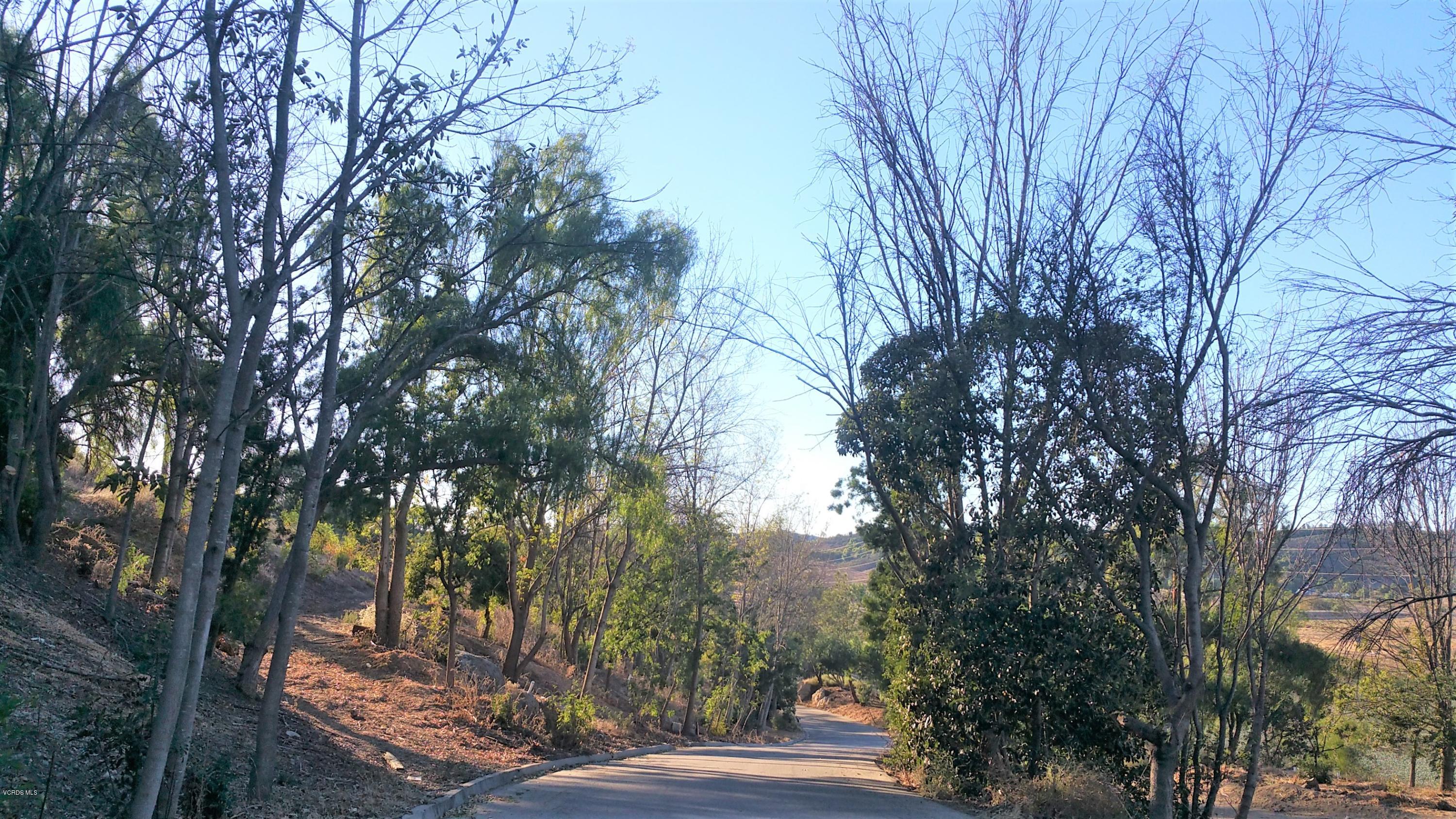 4934 Read Road Thousand Oaks, CA 93021 - Photo 4 of 14 tree lined street