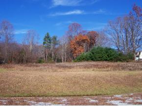 114 Davis Hollow Road, Unit 10 Elizabethton, TN 37643 - Photo 3 of 9 Photo 3