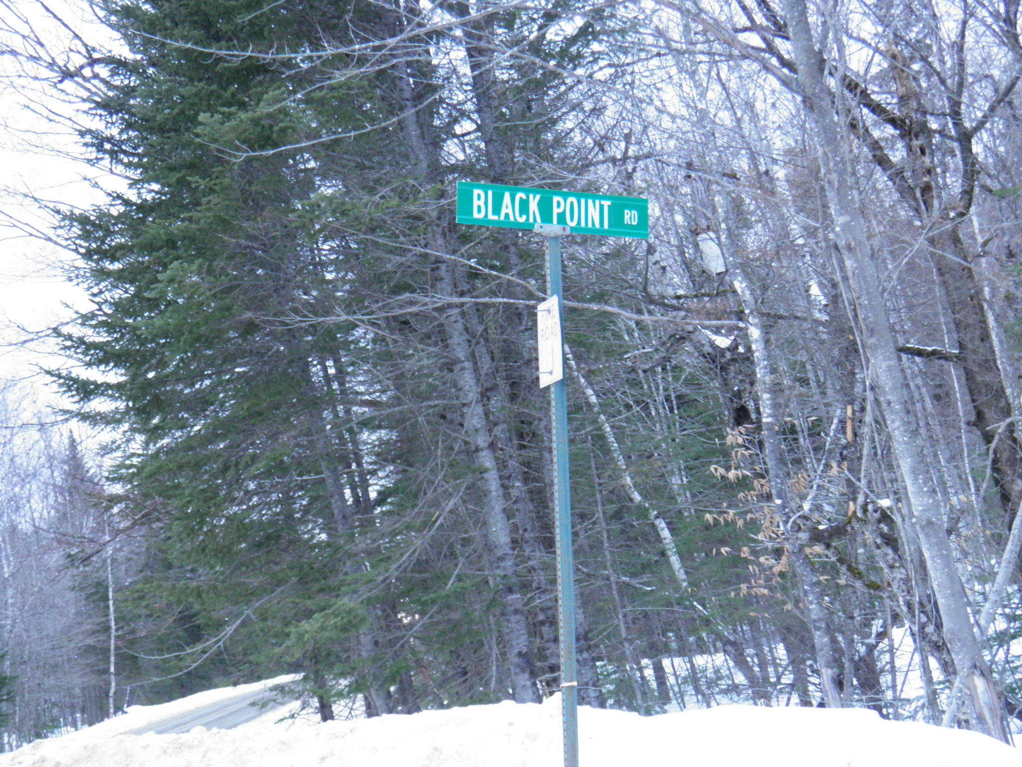 14 Black Point Road Mount Chase, ME 04765 - Photo 3 of 7 P1040025