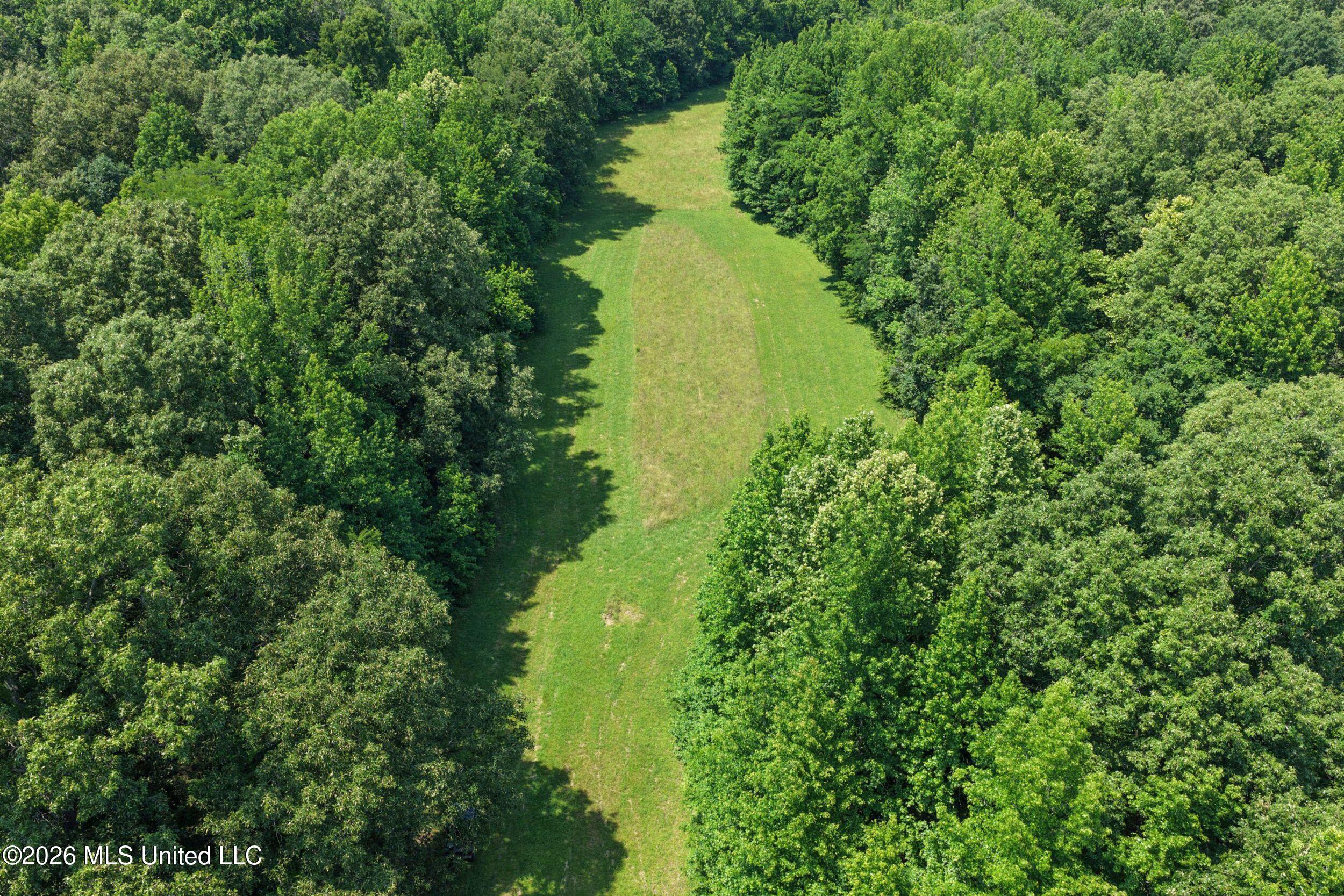 884 Avant Road Crenshaw, MS 38621 - Photo 59 of 154 4dbyicr65
