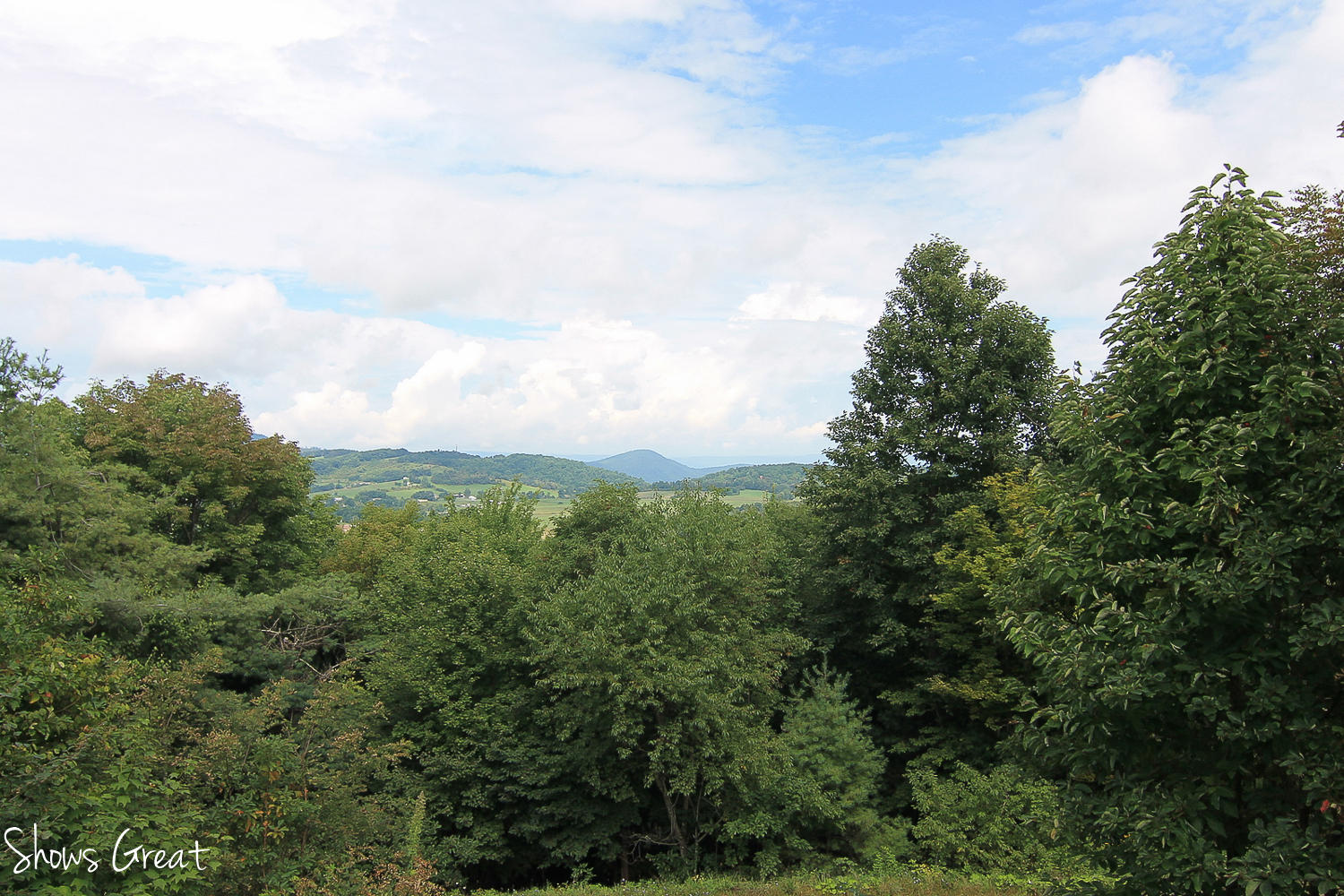 10451 Ivy Ridge Road Bent Mountain, VA 24059 - Photo 17 of 38 15-IMG_8357