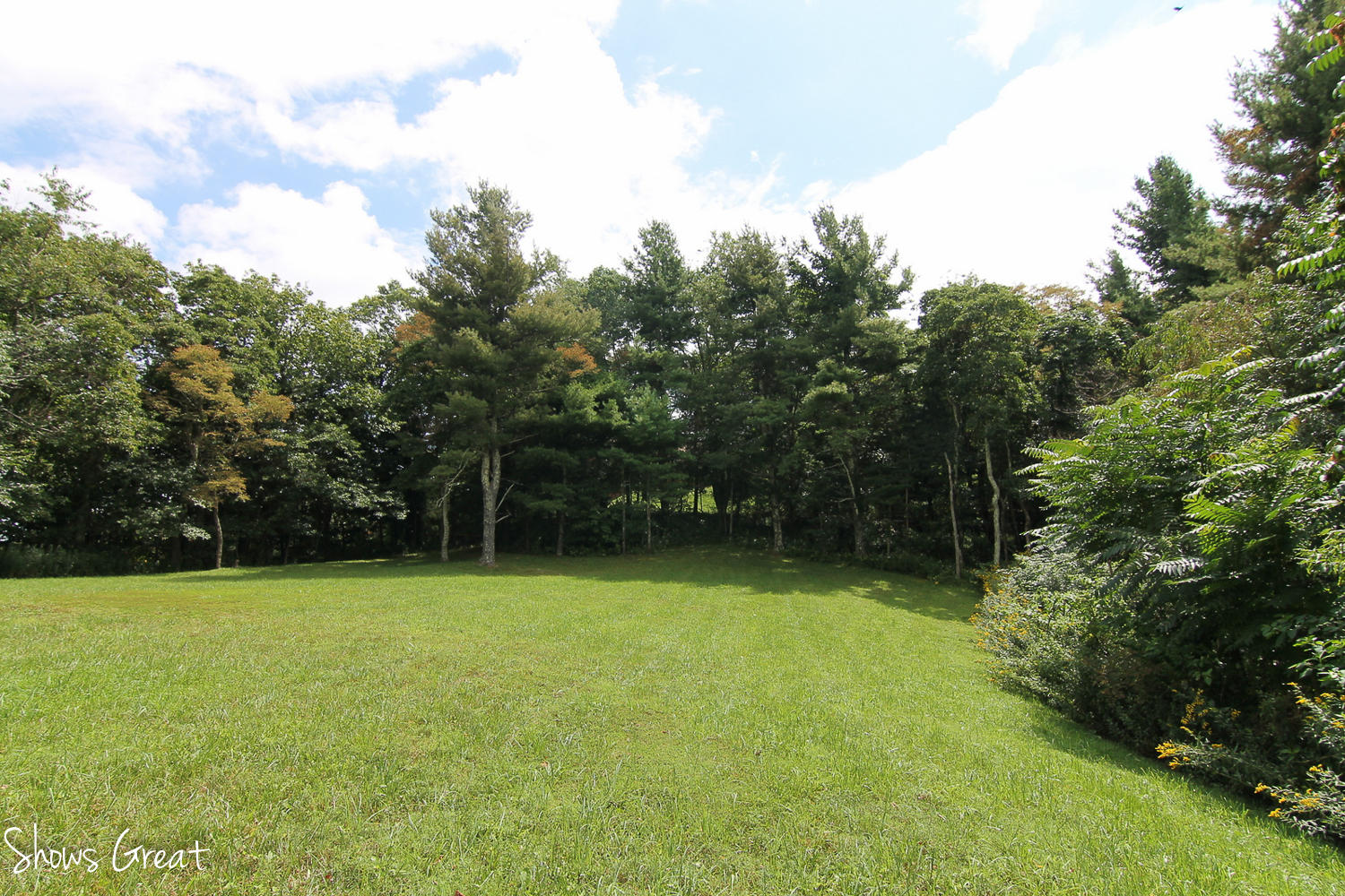 10451 Ivy Ridge Road Bent Mountain, VA 24059 - Photo 36 of 38 34-IMG_8384