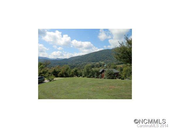 501 Raccoon Point Canton, NC 28716 - Photo 2 of 24