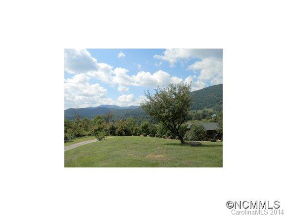 501 Raccoon Point Canton, NC 28716 - Photo 3 of 24