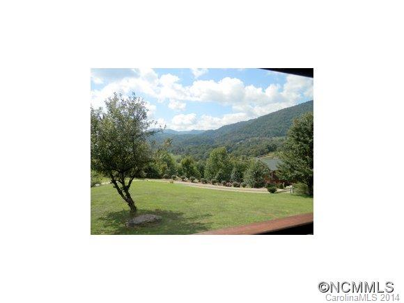 501 Raccoon Point Canton, NC 28716 - Photo 4 of 24