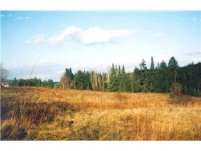 -- Buzzel Road Newport Town, VT 05857 - Photo 3 of 7 Gallery Image 3