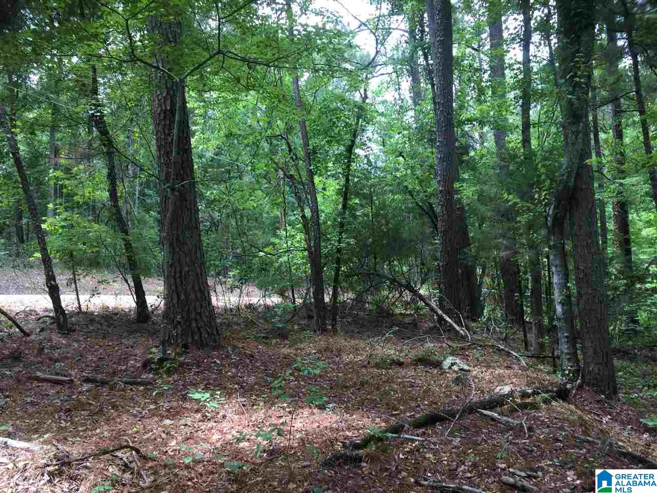 Black Acres Road, Unit 34 Odenville, AL 35120 - Photo 8 of 19