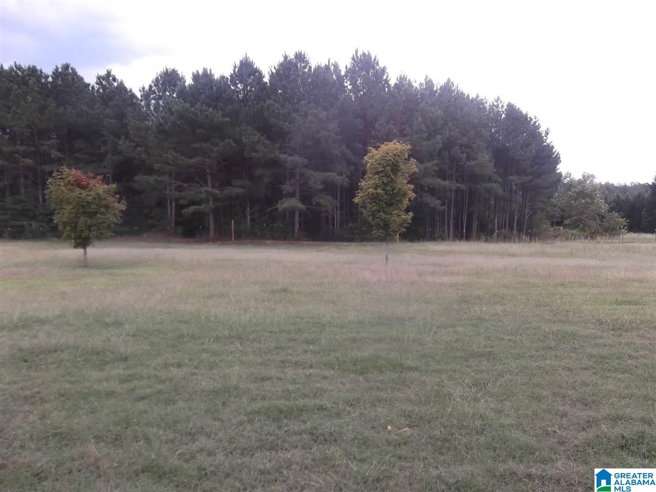 5551 Tabor Road Gadsden, AL 35904 - Photo 26 of 30