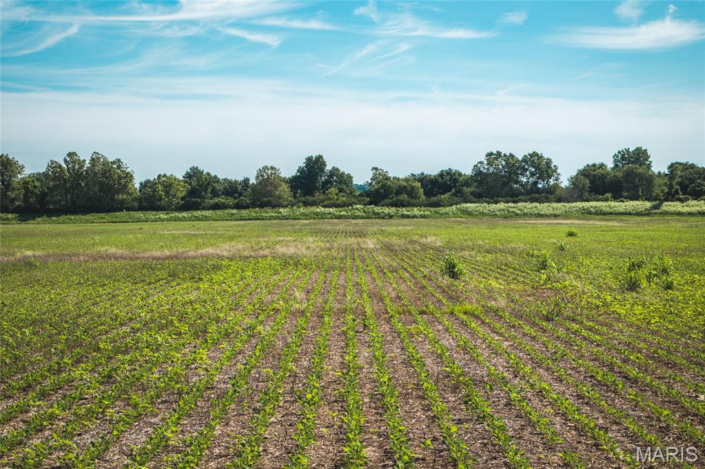 13379-13325 Missouri Bottom Road Bridgeton, MO 63042 - Photo 8 of 23