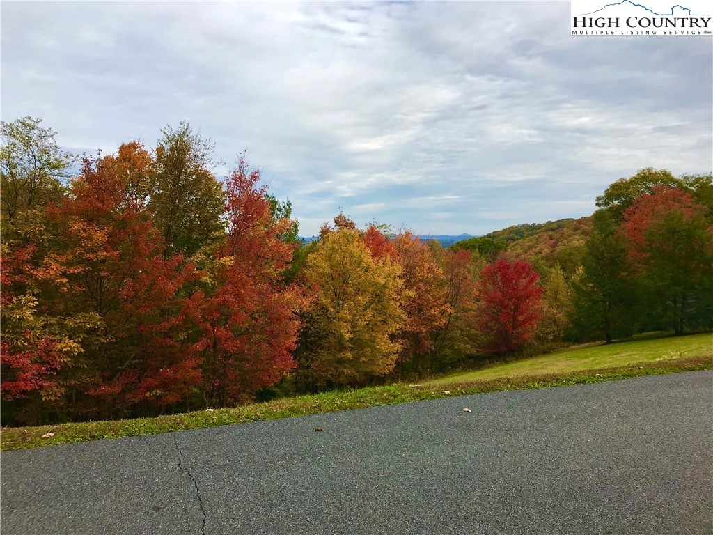Lot 2 Highland Ridge Road Blowing Rock, NC 28605 - Photo 12 of 16 Gallery Image 12