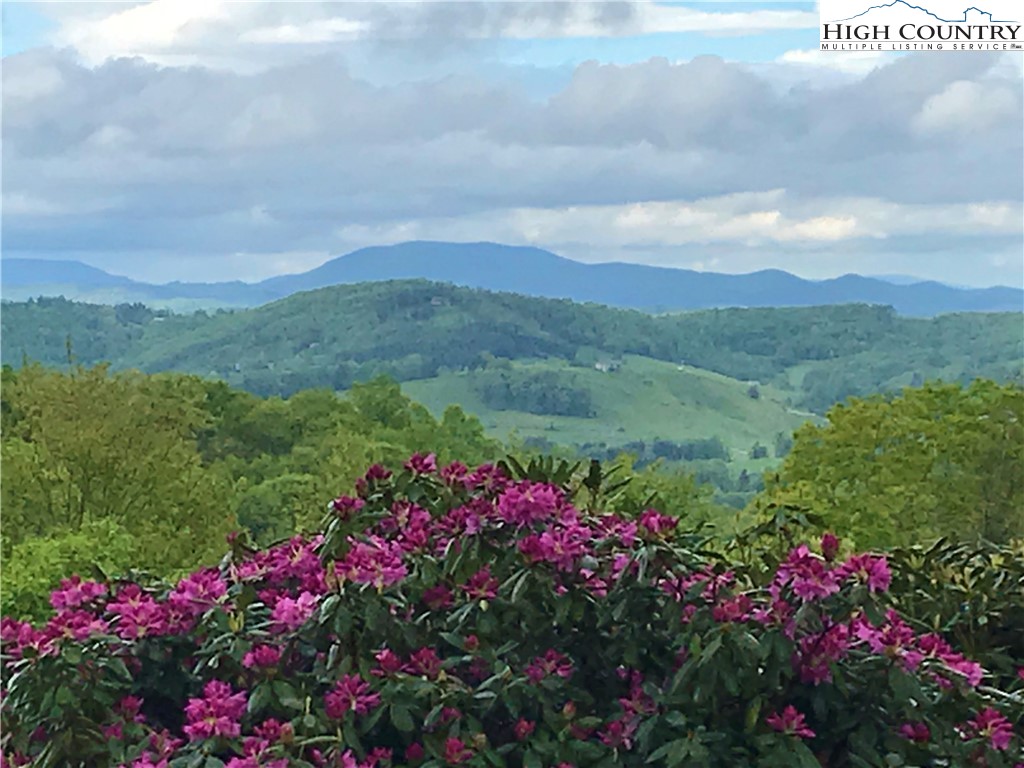 Lot 2 Highland Ridge Road Blowing Rock, NC 28605 - Photo 15 of 16 Gallery Image 15