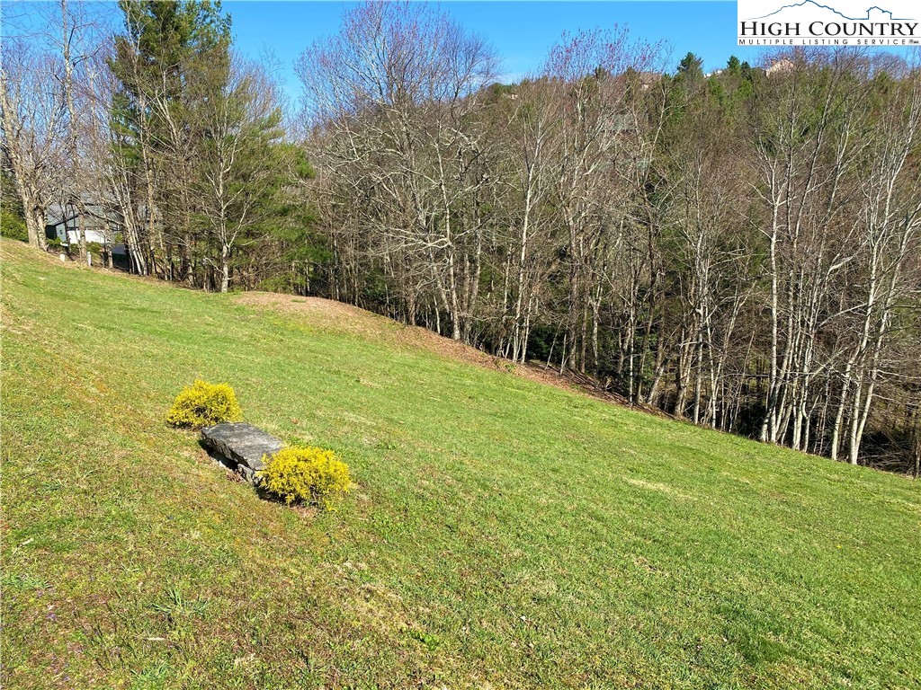 Lot 2 Highland Ridge Road Blowing Rock, NC 28605 - Photo 2 of 16 Gallery Image 2