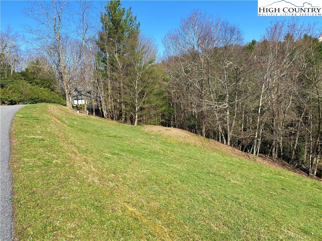Lot 2 Highland Ridge Road Blowing Rock, NC 28605 - Photo 3 of 16 Gallery Image 3