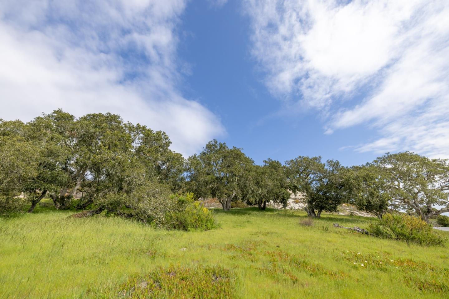 315 Pasadera Court Monterey, CA 93940 - Photo 19 of 30 Gallery Image 19