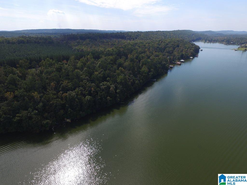 2359 Waldrop Road, Unit 5 Ashville, AL 35953 - Photo 3 of 9