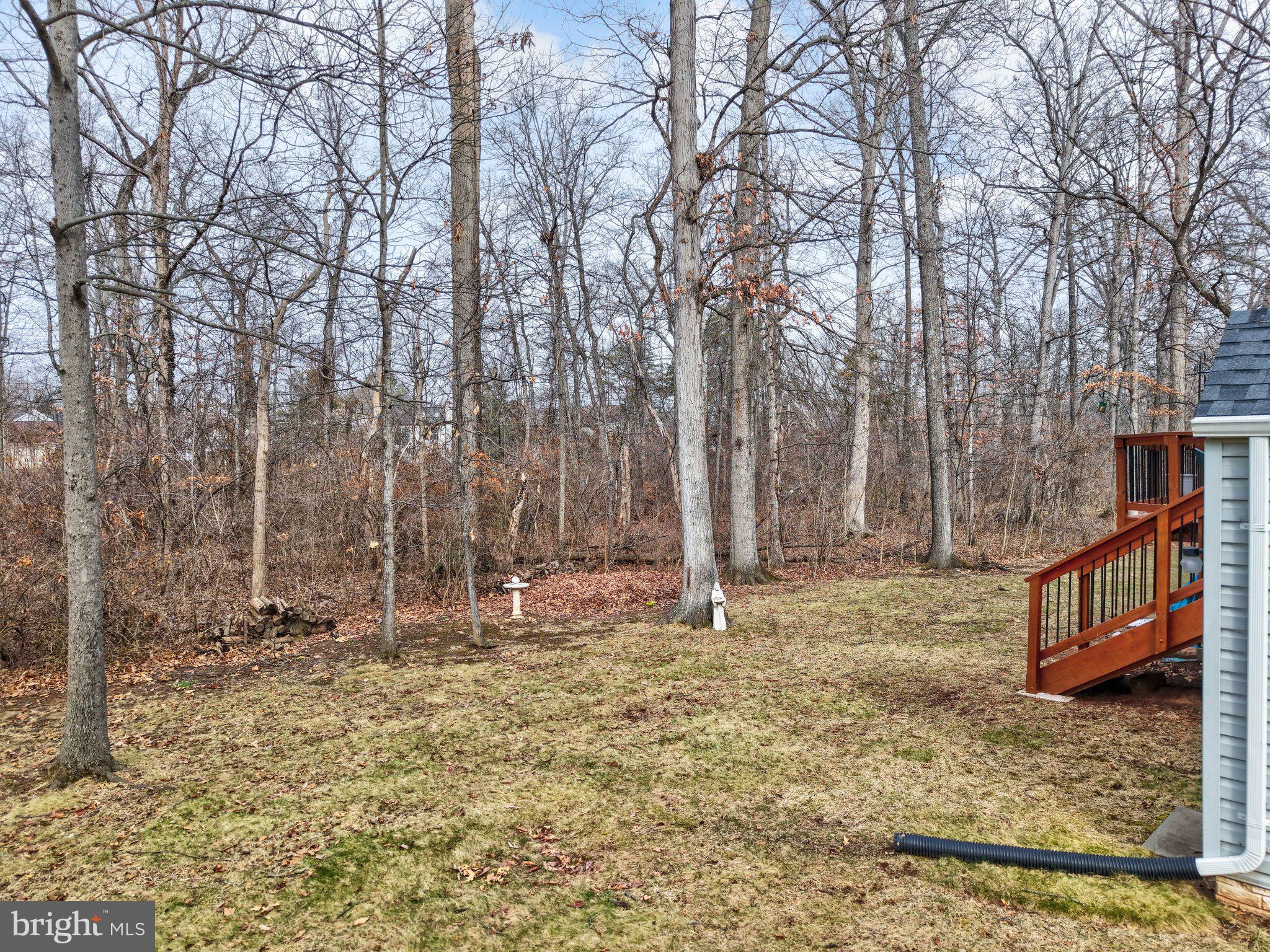 34 Lipscomb Court Sterling, VA 20165 - Photo 70 of 91 a backyard of a house with lots of green space