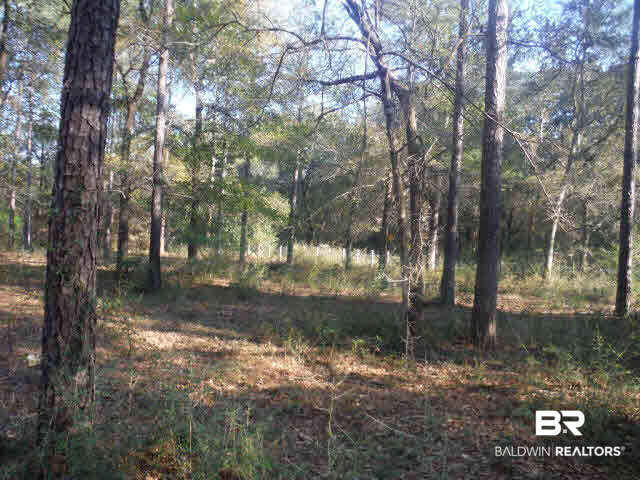 33975 Sunset Drive Lillian, AL 36549 - Photo 16 of 17 Side yard