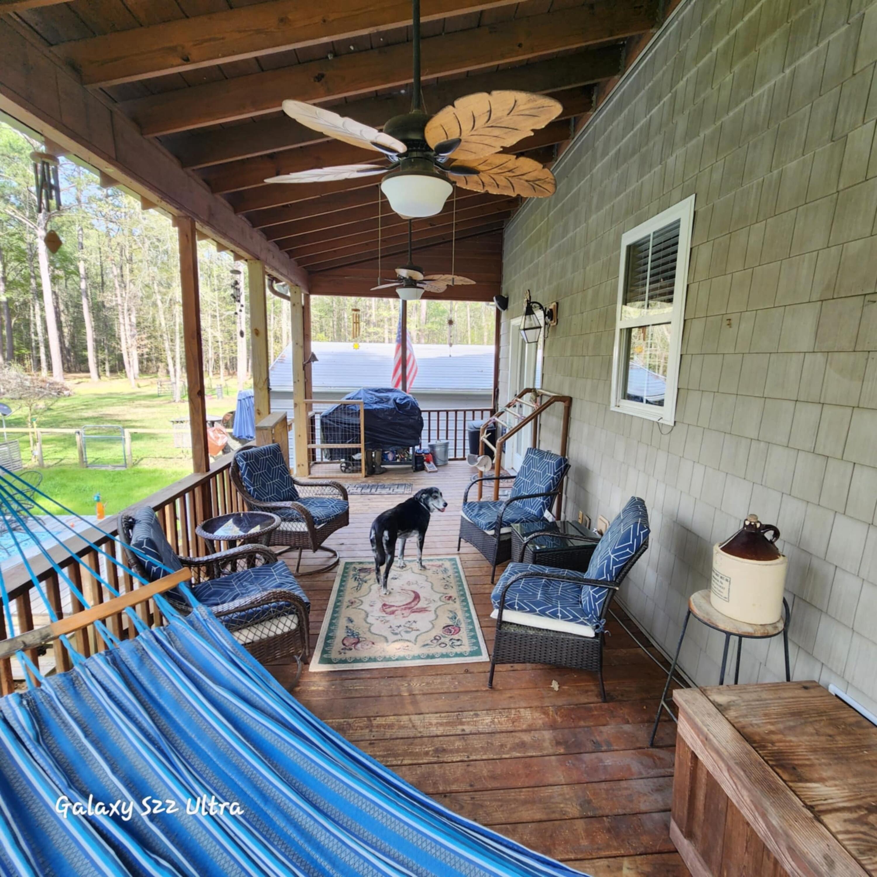 2729 Barracada Road Walterboro, SC 29488 - Photo 28 of 45 Back Porch