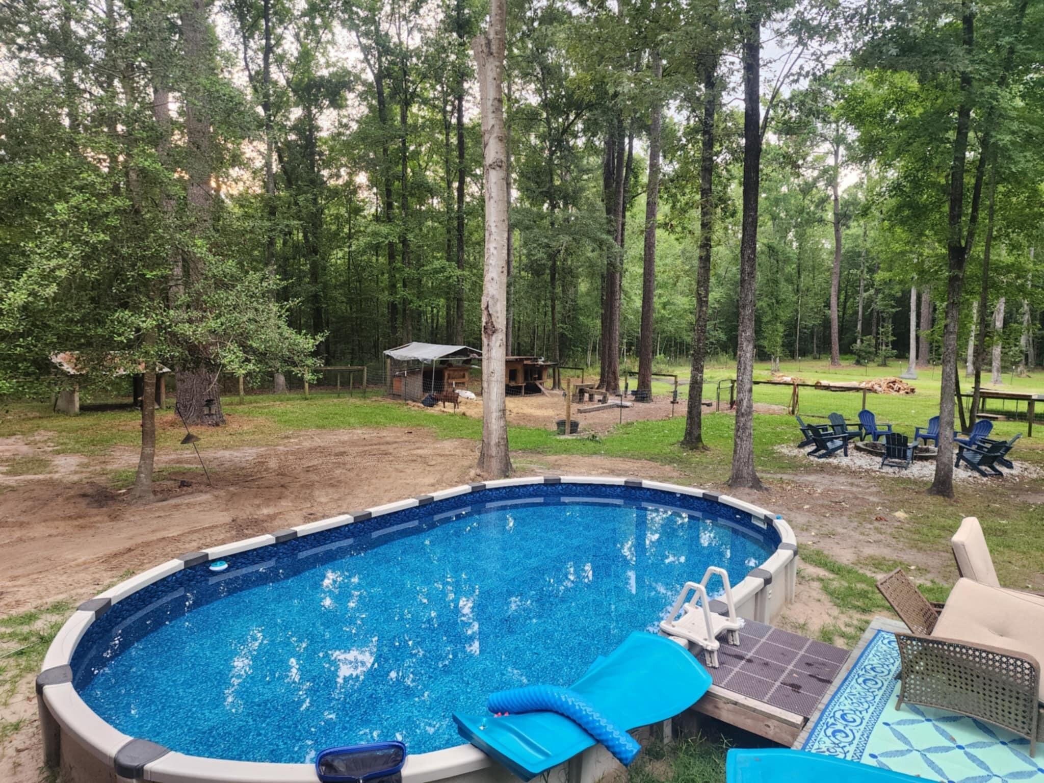 2729 Barracada Road Walterboro, SC 29488 - Photo 31 of 45 Pool