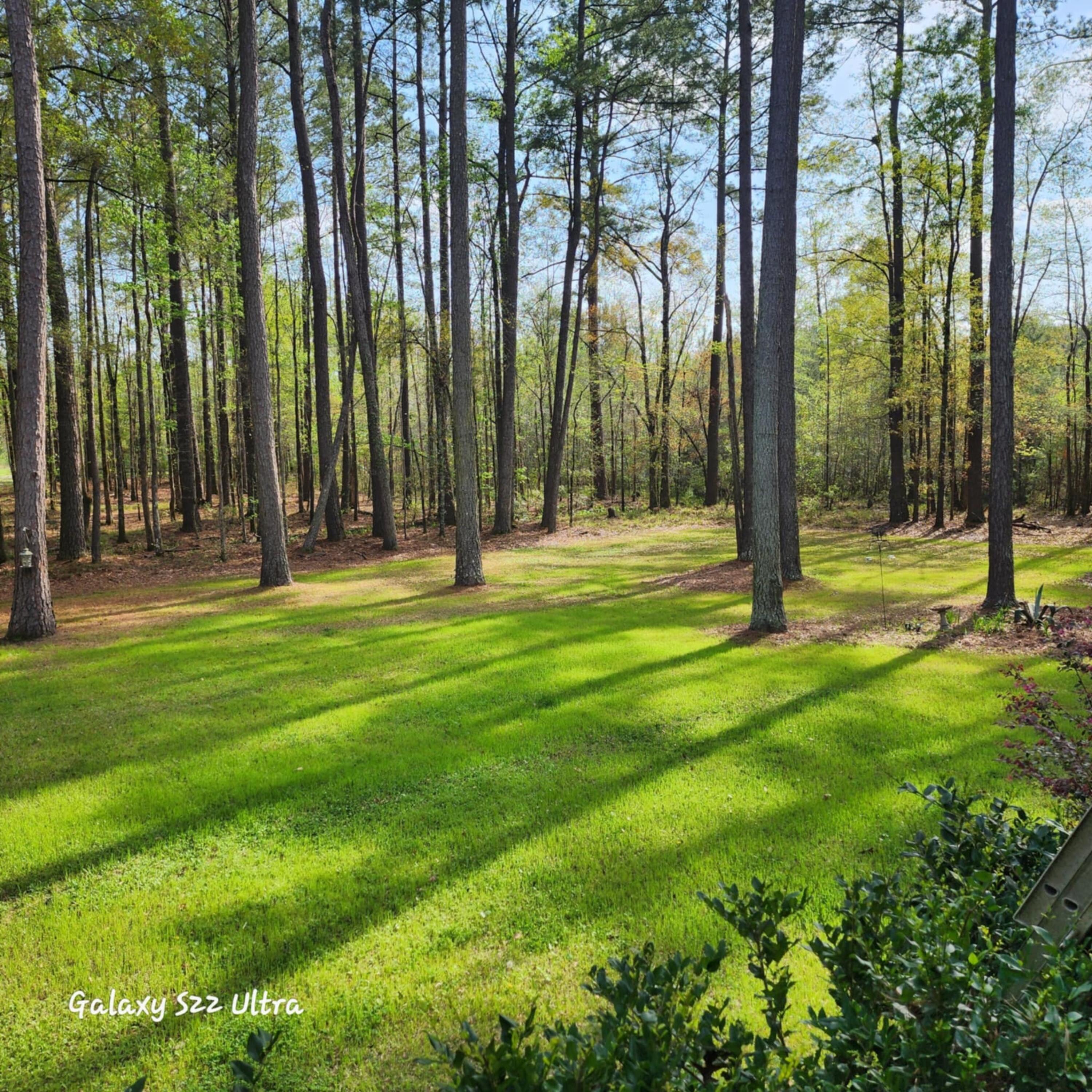 2729 Barracada Road Walterboro, SC 29488 - Photo 38 of 45 Front yard