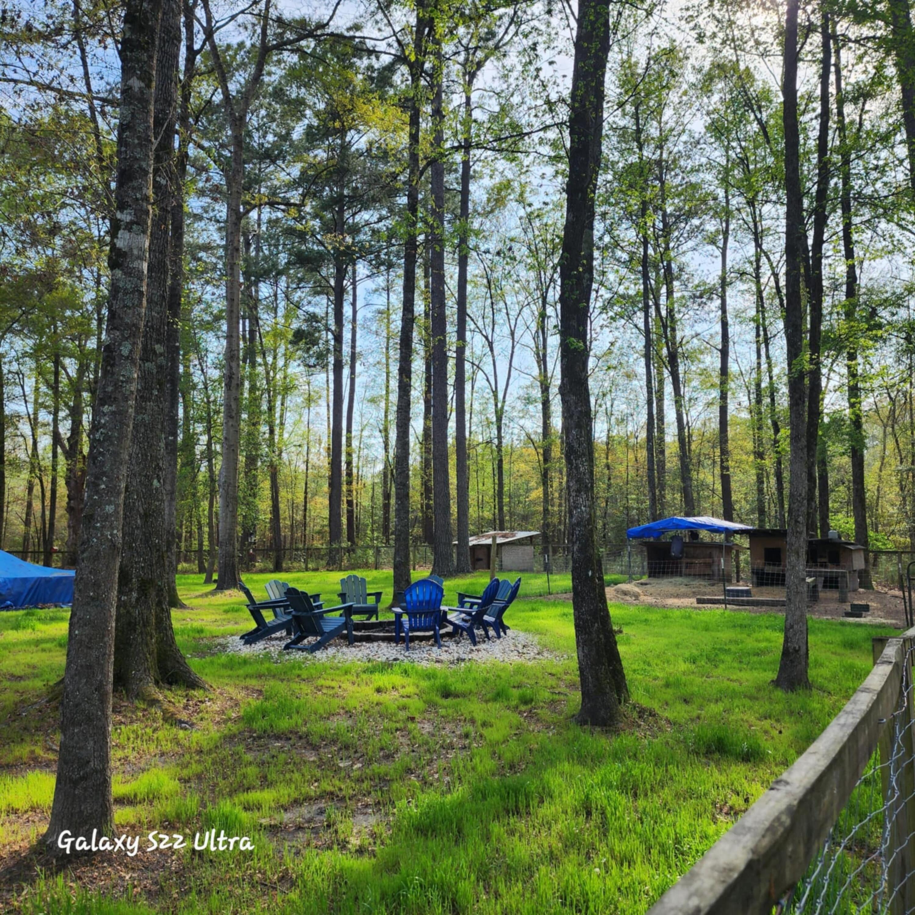 2729 Barracada Road Walterboro, SC 29488 - Photo 39 of 45 Back Yard