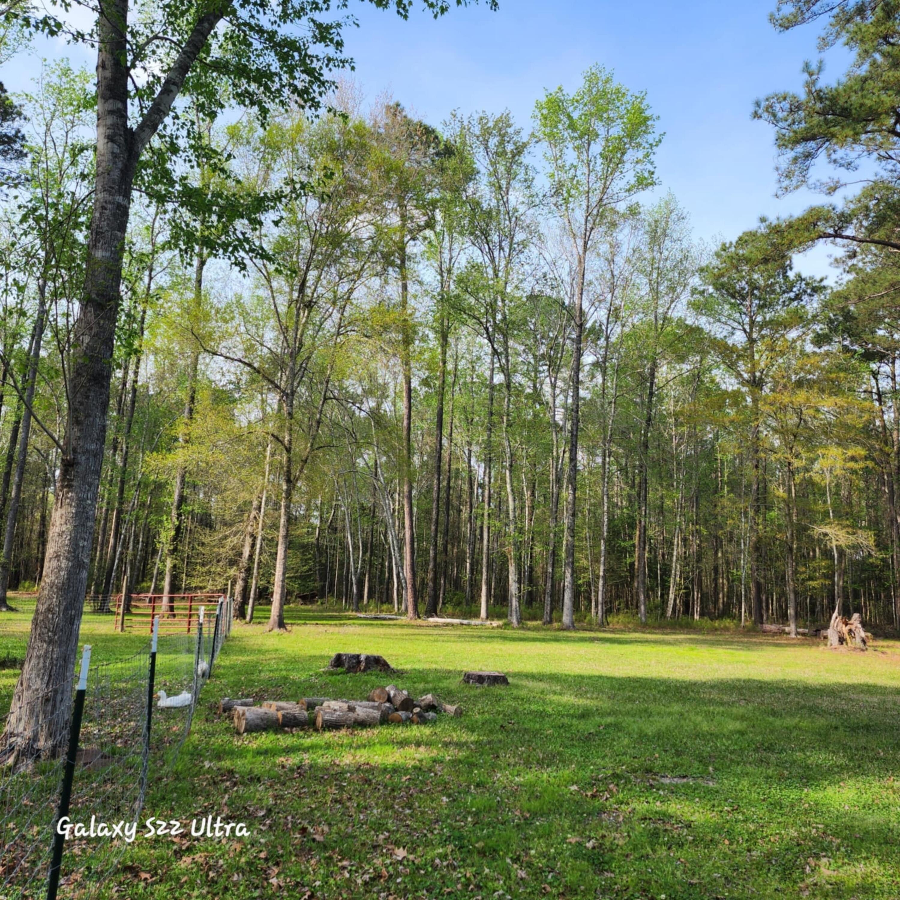 2729 Barracada Road Walterboro, SC 29488 - Photo 43 of 45 Back Yard