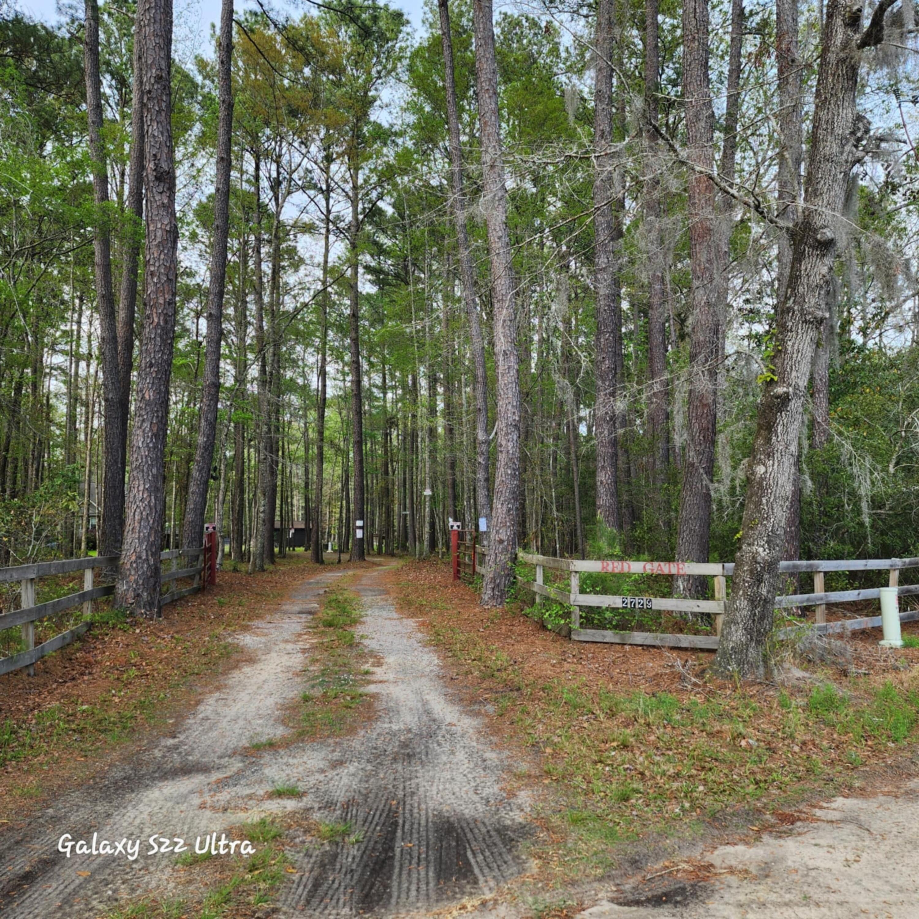 2729 Barracada Road Walterboro, SC 29488 - Photo 45 of 45 Driveway Entrance