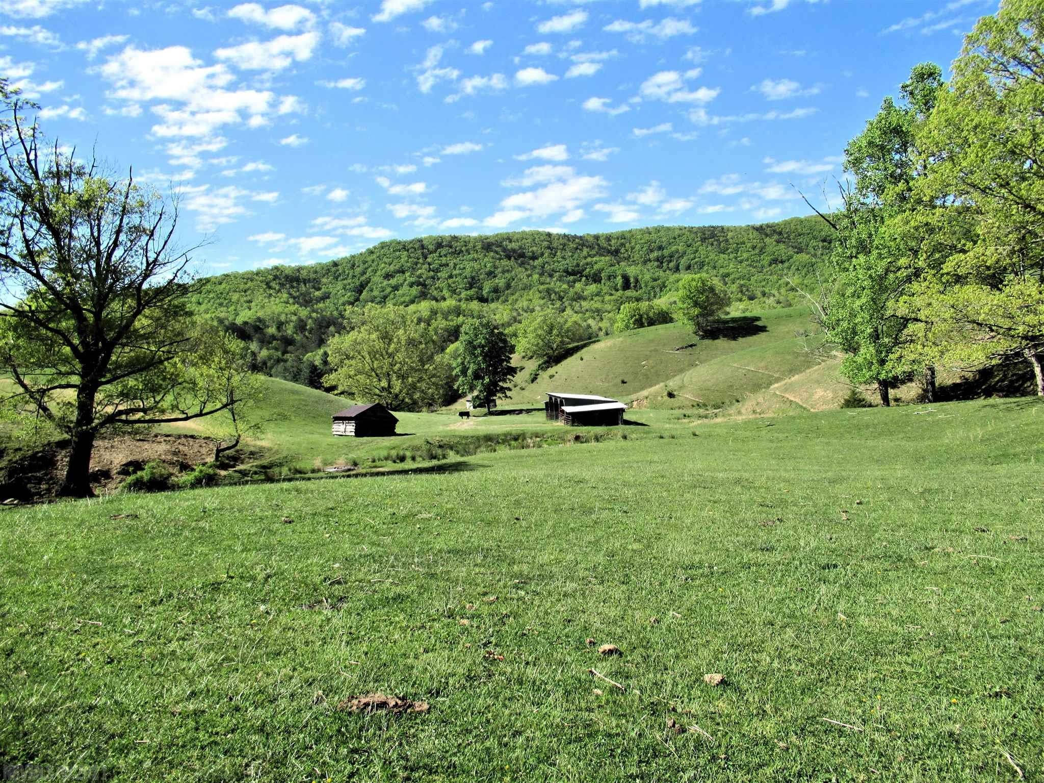 8590 Wilderness Road Bland, VA 24315 - Photo 27 of 39 Gallery Image 27