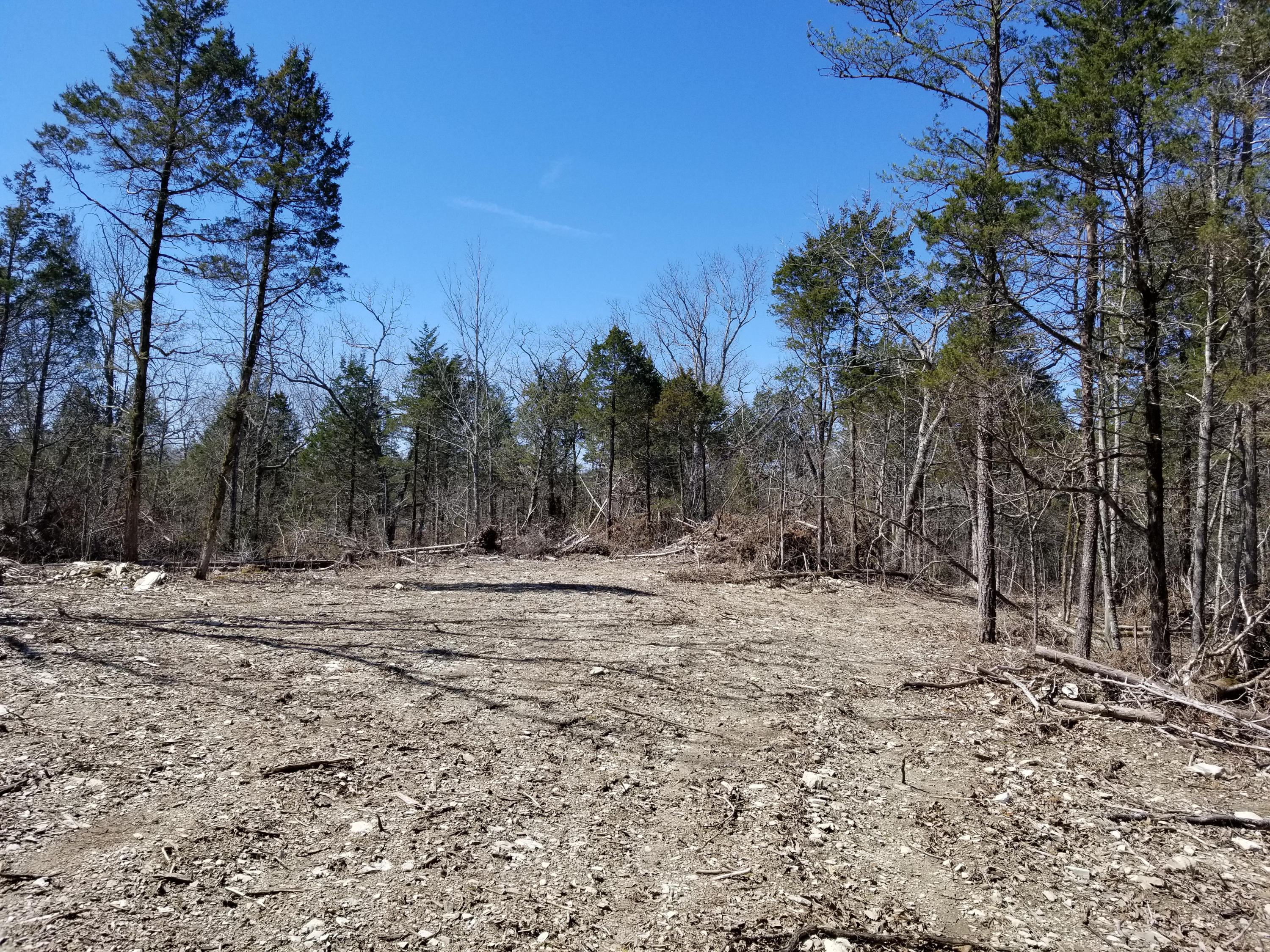 749 Bristol Road Harrogate, TN 37752 - Photo 7 of 39 LRM_EXPORT_24851595481134_20190319_19262