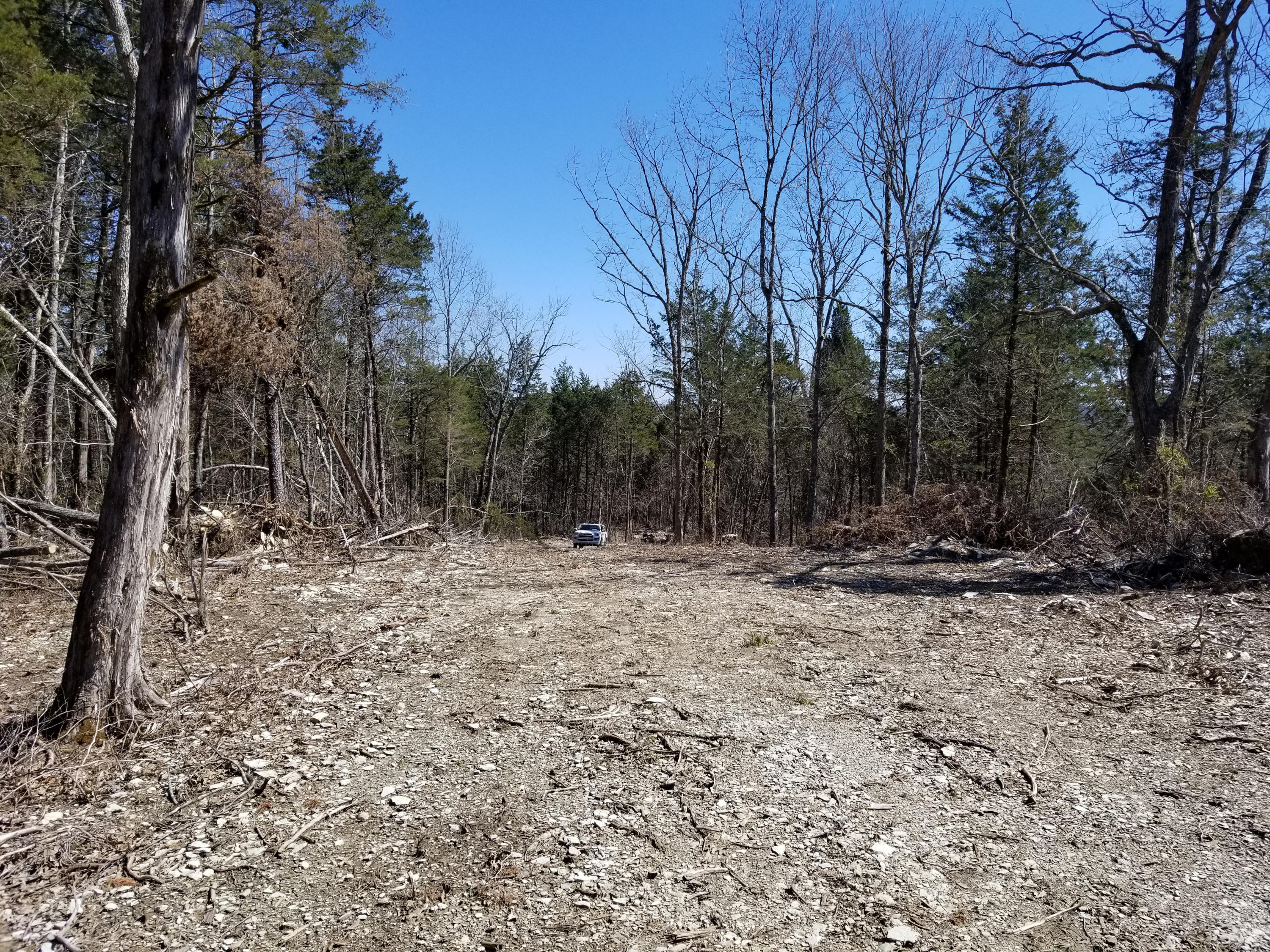 749 Bristol Road Harrogate, TN 37752 - Photo 8 of 39 LRM_EXPORT_24846240882178_20190319_19261