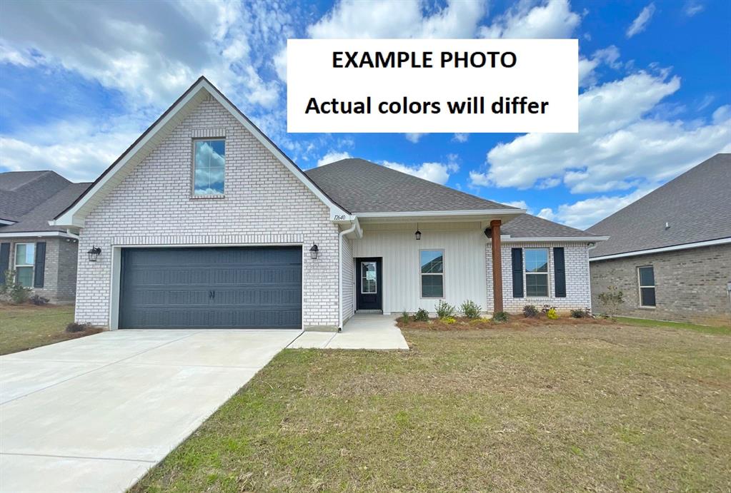 EXAMPLE PHOTO