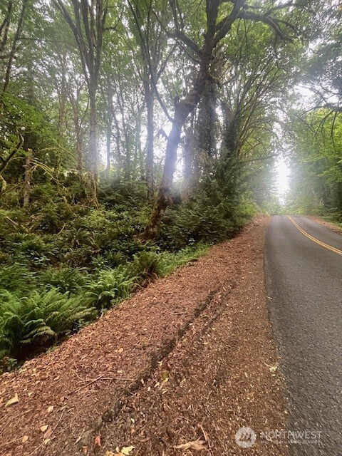 14802 Delano Road Southwest Lakebay, WA 98349 - Photo 2 of 16 a view of backyard and trees