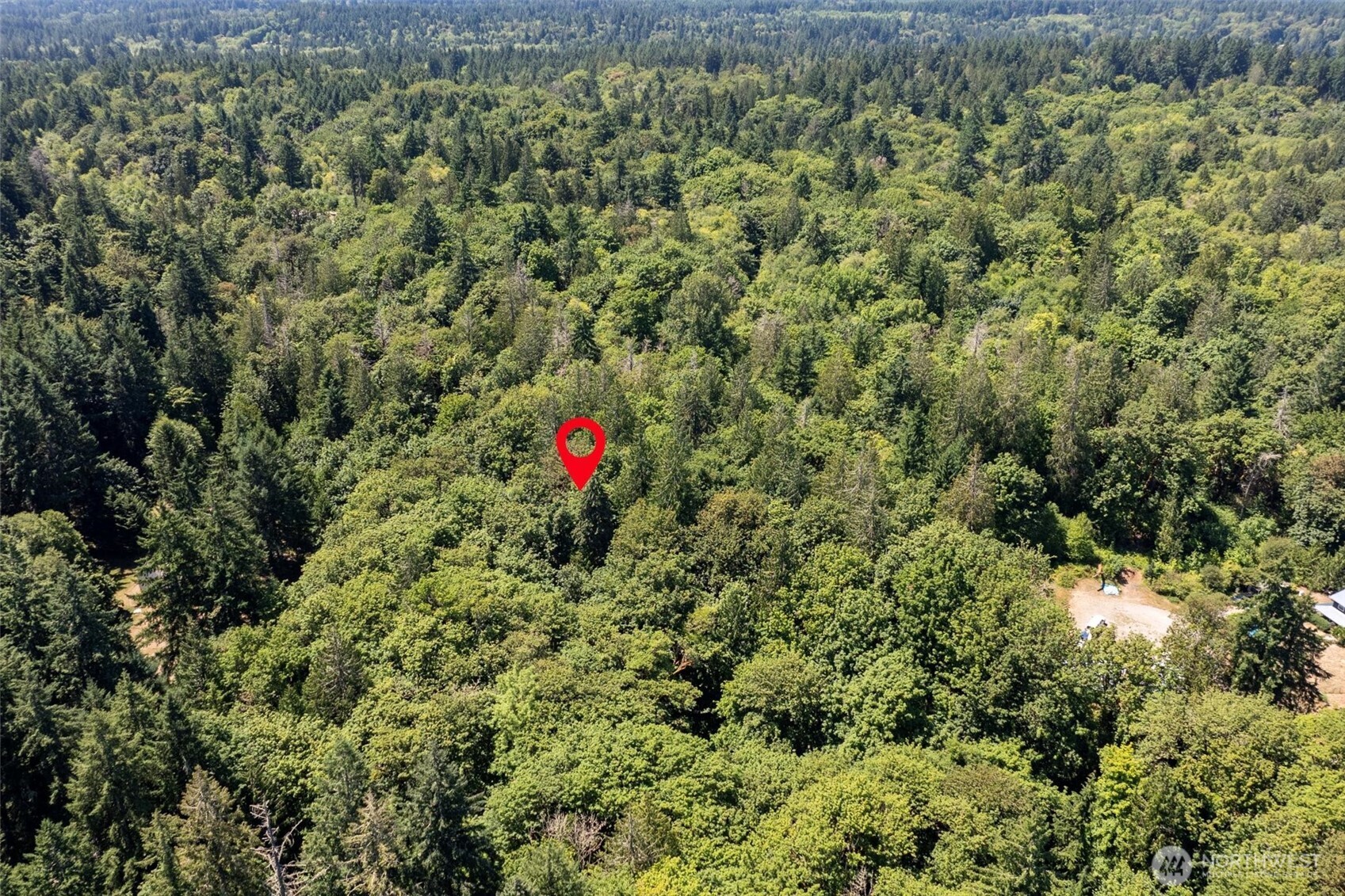 14802 Delano Road Southwest Lakebay, WA 98349 - Photo 4 of 16 a view of a field with a tree